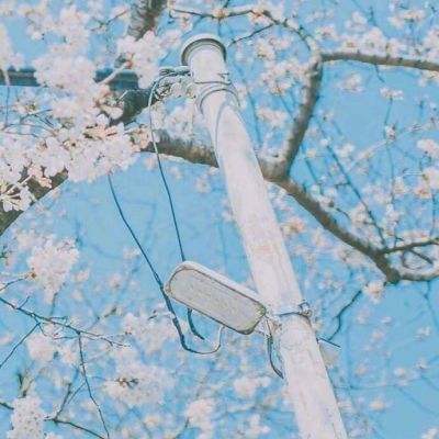 美军公然展示灭岛能力 外媒：特朗普在南海要的不是战争